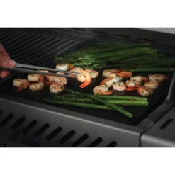 Pince De Précision 30 Cm Inox - Napoleon -Pas Cher Saveur BBQ Magasin pince precision inox napoleon 629162550255 1